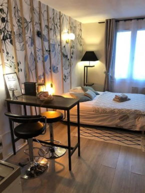 HSH FRANCE LOCATION Disney Land PARIS - Suite Nicolas - Appartement de charme